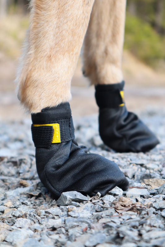 PULSE SOCK — Breathable protection for active dogs